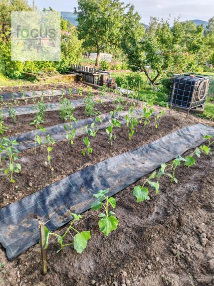 Záhradka s chatou pokročilá rekonštrukcia - Amfiteáter