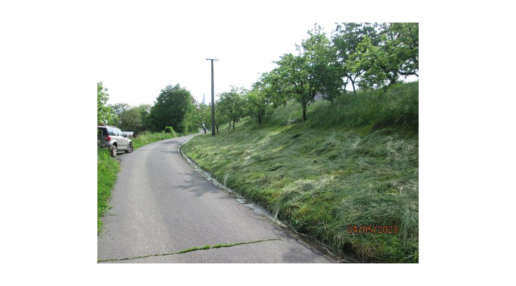 Atraktívny pozemok - Bzovík - 11.337 m2