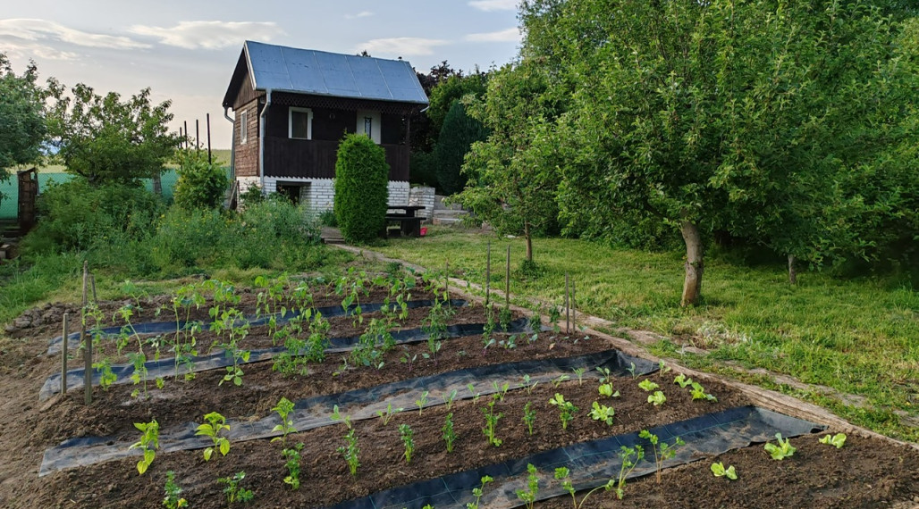 Záhradka s chatou pokročilá rekonštrukcia - Amfiteáter
