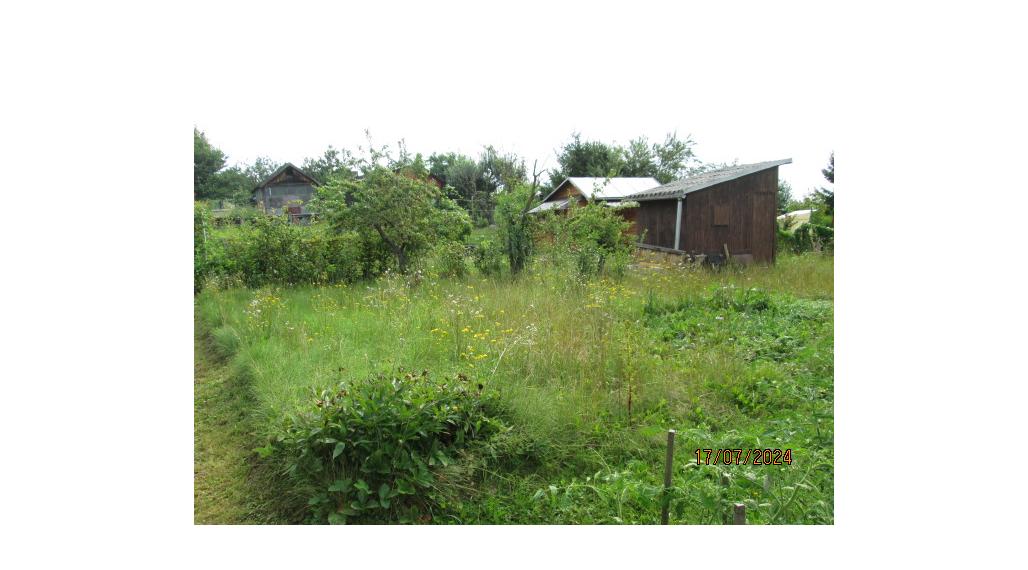 Predám záhradu so studňou a chatkou