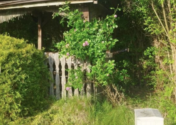 Predám záhradku s elektrickou aj vodovodnou prípojkou