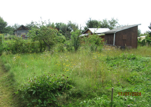 Predám záhradu so studňou a chatkou
