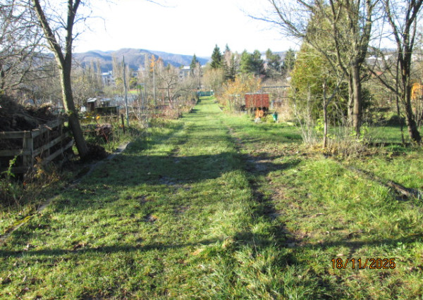 Predám vysporiadanú záhradu s úžitkovou vodou - 422 m2